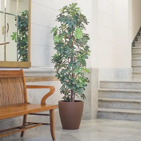 Anakena House فندق مبيت وإفطار 3*