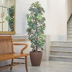 Anakena House Bed and Breakfast 3*